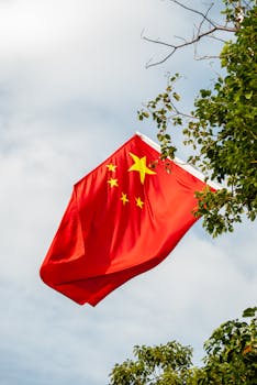 海外侨胞热议“十五五”蓝图；中国高水平开放释放新机遇，共建共赢未来。