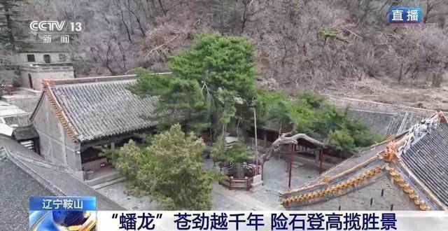 千万级客流背后的自然奇观:揭秘千山春日生态与地质奥秘 文化旅游