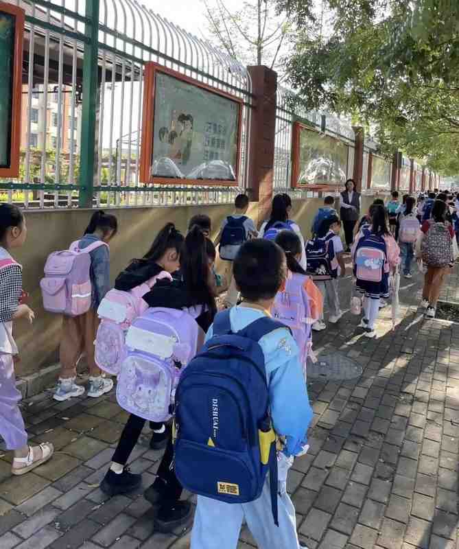 深度解析:2026教育收费改革的底层逻辑与家庭应对策略 教育招生