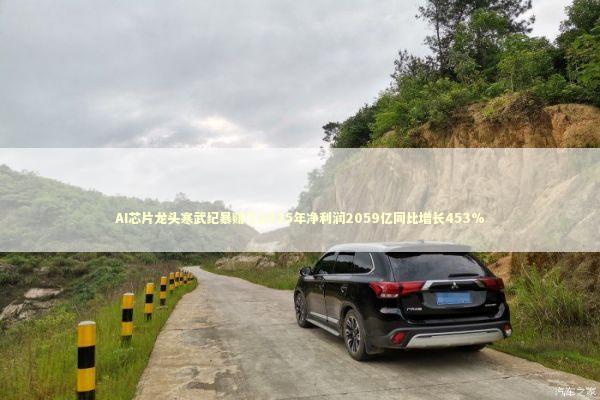 AI芯片龙头寒武纪暴赚了2025年净利润2059亿同比增长453%