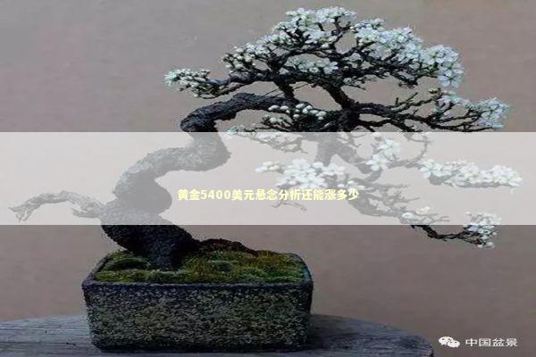 黄金5400美元悬念分析还能涨多少 新闻