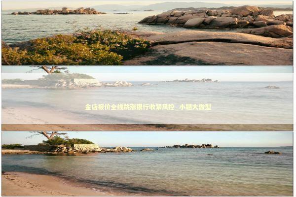 金店报价全线跳涨银行收紧风控_小题大做型