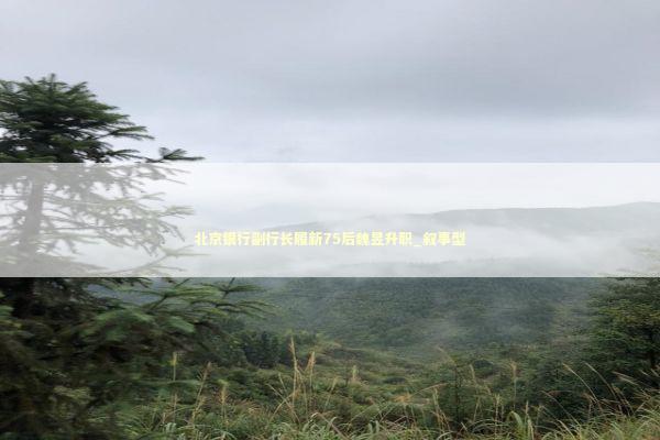 北京银行副行长履新75后魏昱升职_叙事型