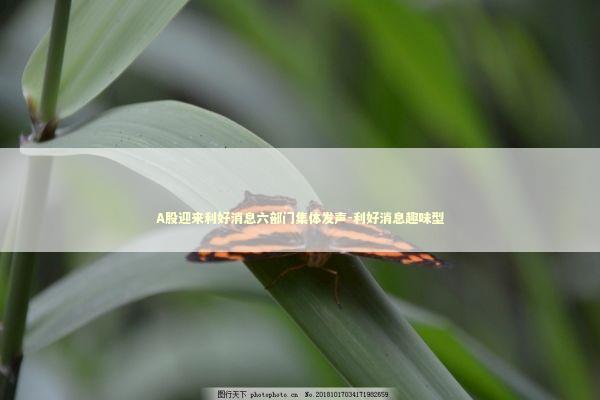 A股迎来利好消息六部门集体发声-利好消息趣味型