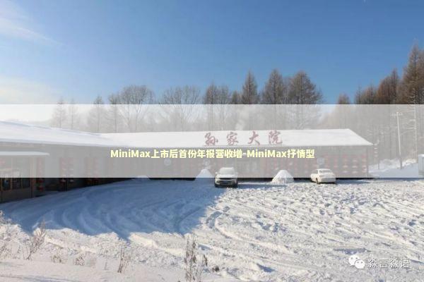 MiniMax上市后首份年报营收增-MiniMax抒情型