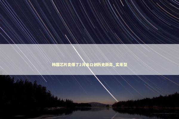 韩国芯片卖爆了2月出口创历史新高_实用型