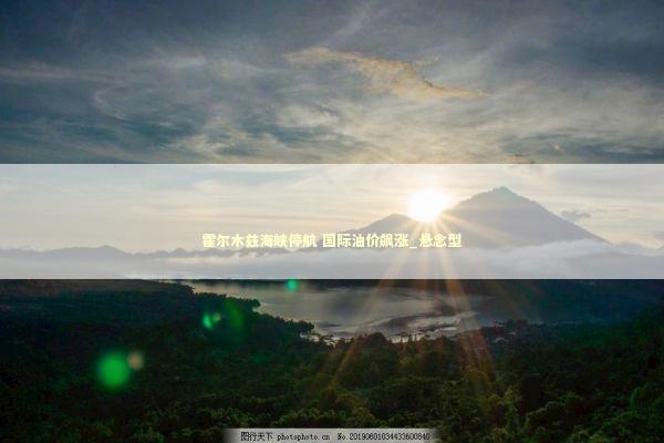 霍尔木兹海峡停航 国际油价飙涨_悬念型