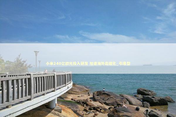 小米240亿欧元投入研发 加速海外高端化_引用型