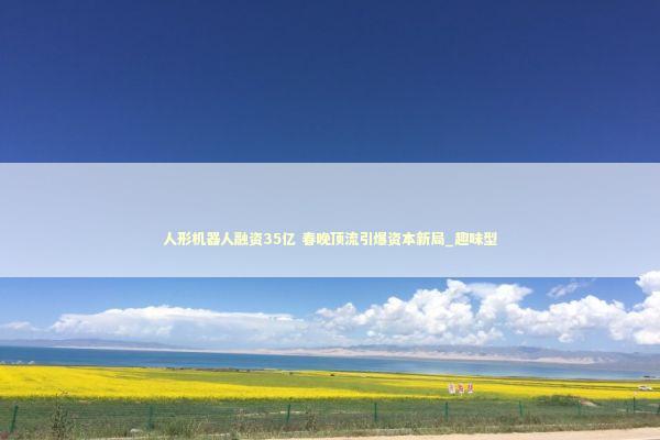 人形机器人融资35亿 春晚顶流引爆资本新局_趣味型