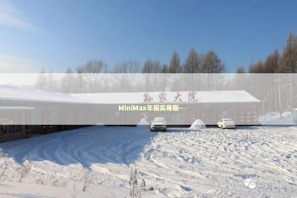 MiniMax年报实用版