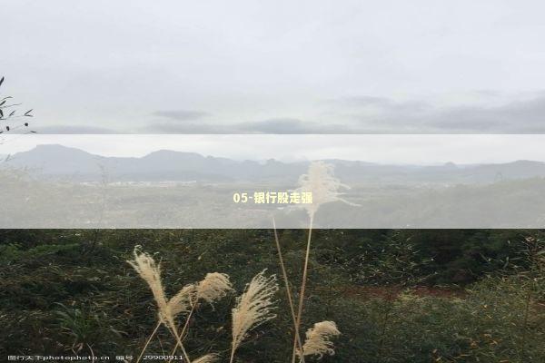 05-银行股走强