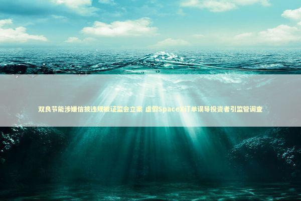 双良节能涉嫌信披违规被证监会立案 虚假SpaceX订单误导投资者引监管调查