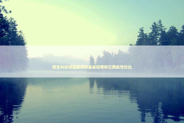 恒生科技调整超预期基金经理称已跌出性价比