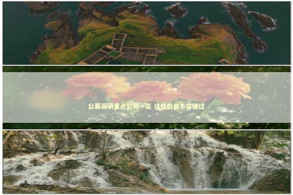 公募调研重点公司一览 这些机会不容错过