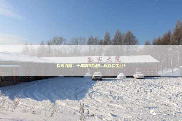 保险内勤：十年前铁饭碗，现在快失业？
