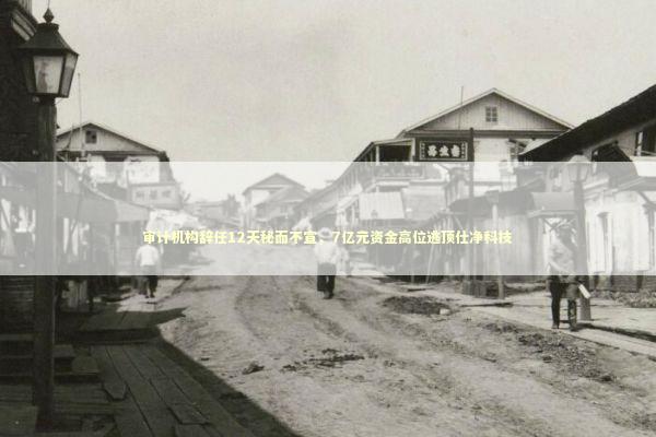 审计机构辞任12天秘而不宣，7亿元资金高位逃顶仕净科技