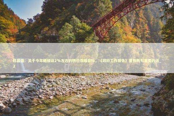 陈昌盛：关于今年继续设2%左右的物价涨幅目标，《政府工作报告》里有两句重要的话_2 新闻