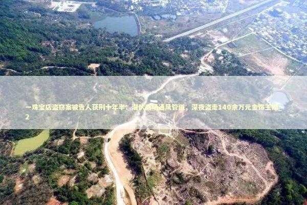 一珠宝店盗窃案被告人获刑十年半：潜伏商场通风管道，深夜盗走140余万元金饰玉镯_2