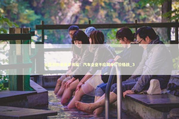 全国政协委员李书福：汽车企业不应简单打价格战_3