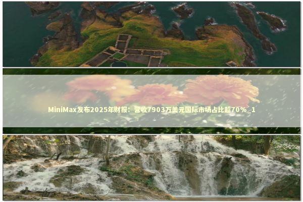 MiniMax发布2025年财报：营收7903万美元国际市场占比超70%_1
