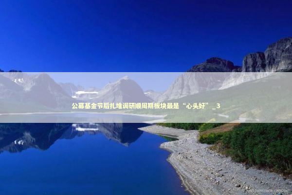 公募基金节后扎堆调研顺周期板块最是“心头好”_3