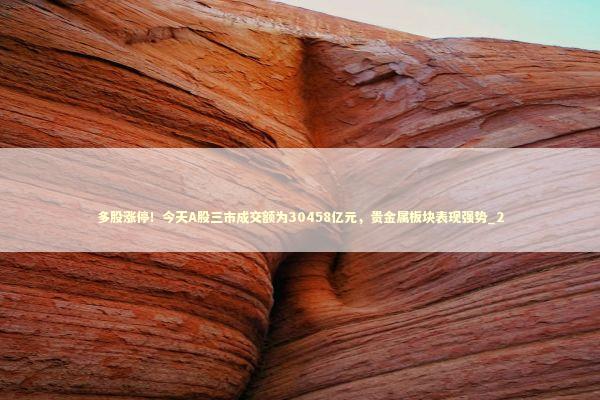 多股涨停！今天A股三市成交额为30458亿元，贵金属板块表现强势_2