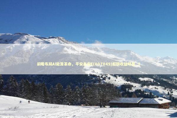 前瞻布局AI能源革命，平安鑫安E(007049)超额收益明显_2