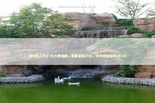凯尔特人108-81大胜雄鹿,普里查德25分,字母哥复出取19+11 凯尔特人108-81大胜雄鹿,普里查德25分,字母哥复出取19+11 新闻