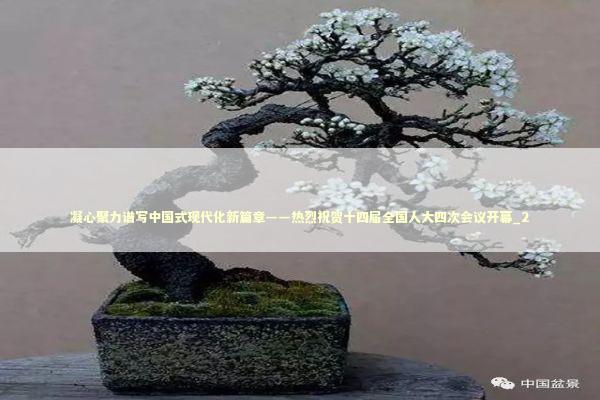 凝心聚力谱写中国式现代化新篇章——热烈祝贺十四届全国人大四次会议开幕_2