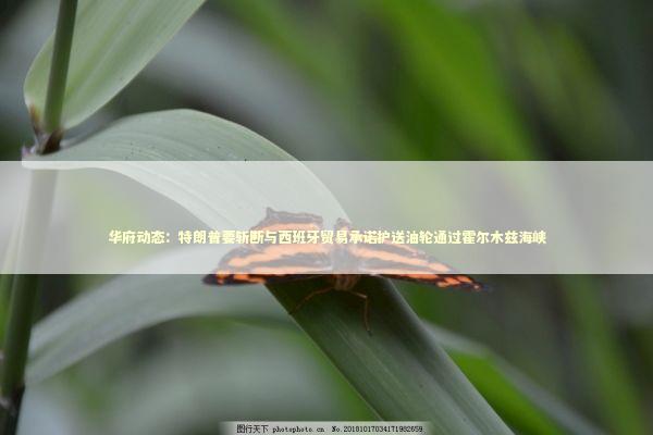 华府动态：特朗普要斩断与西班牙贸易承诺护送油轮通过霍尔木兹海峡