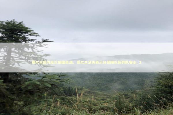 爱尔兰国内反以情绪高涨，爱尔兰足协表示会保障以色列队安全_2