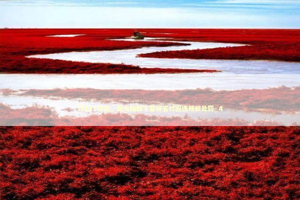 罚847万元，新大陆旗下星驿支付因违规被处罚_4