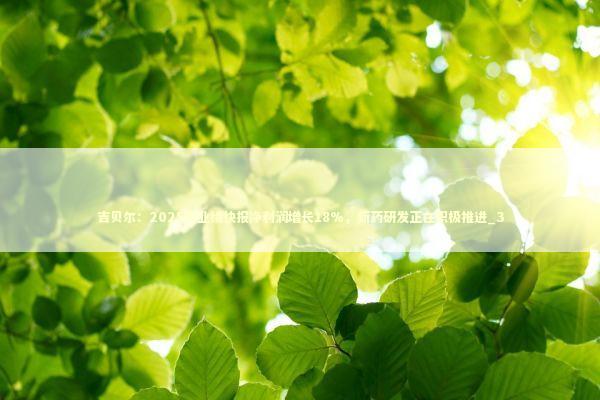 吉贝尔：2025年业绩快报净利润增长18%，新药研发正在积极推进_3