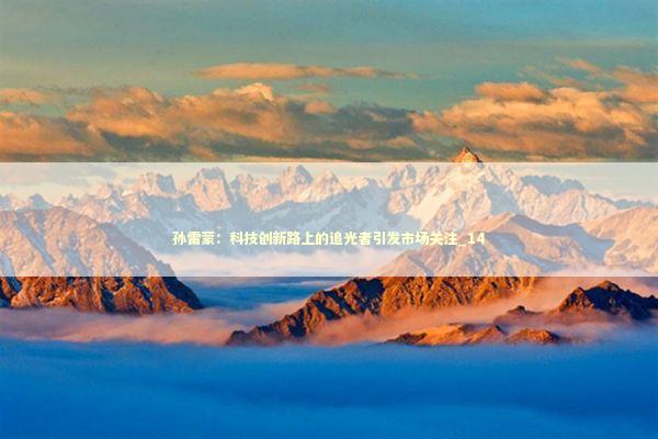 孙雷蒙：科技创新路上的追光者引发市场关注_14