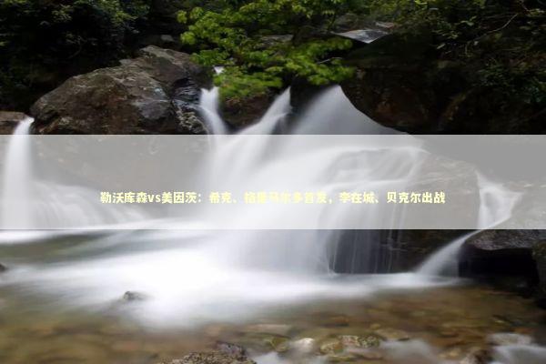 勒沃库森vs美因茨：希克、格里马尔多首发，李在城、贝克尔出战