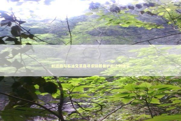 航运商与石油交易商寻求特朗普护航计划细节