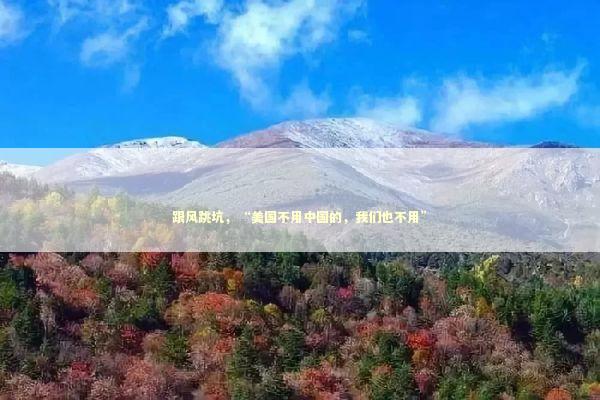 跟风跳坑，“美国不用中国的，我们也不用”