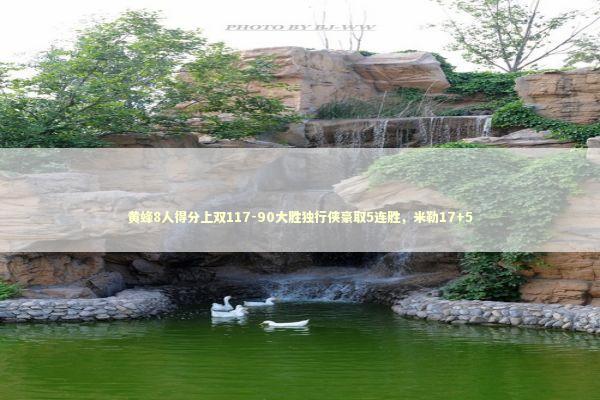 黄蜂8人得分上双117-90大胜独行侠豪取5连胜，米勒17+5