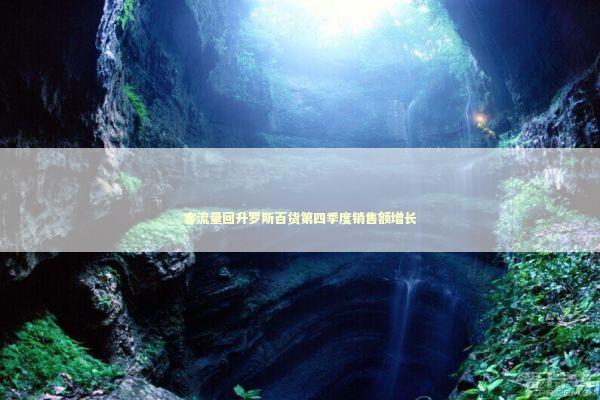 客流量回升罗斯百货第四季度销售额增长