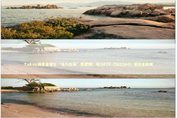 Token调用量催生“电力出海”新逻辑！电力ETF（561560）受资金青睐