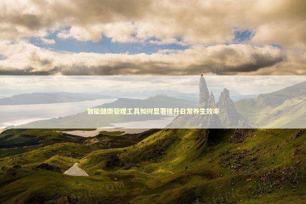 智能健康管理工具如何显著提升日常养生效率