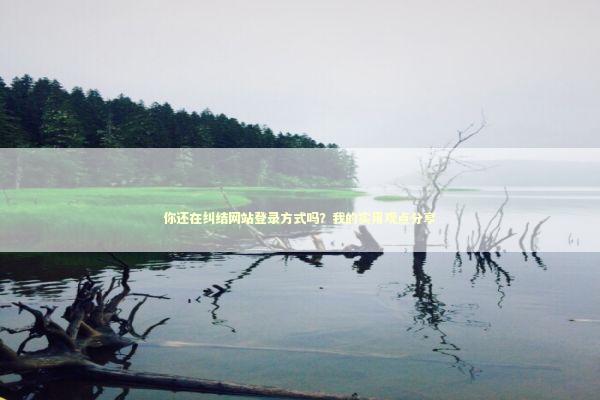你还在纠结网站登录方式吗？我的实用观点分享