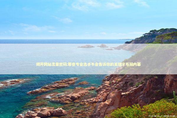 揭开网站流量密码:那些专业选手不会告诉你的关键字布局内幕 揭开网站流量密码:那些专业选手不会告诉你的关键字布局内幕 IT技术