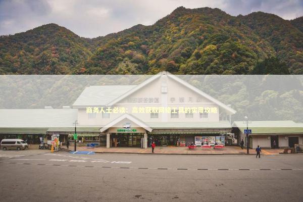 商务人士必读:高效获取网络工具的实用攻略 商务人士必读:高效获取网络工具的实用攻略 企业服务