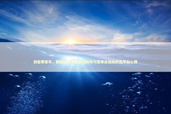 创业那些年，我在B2B平台踩过的坑与后来总结出的选平台心得